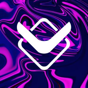 Professional Website